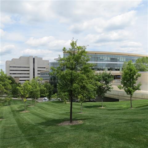 University of Michigan campus in Ann Arbor 2 of 4 (#2703)