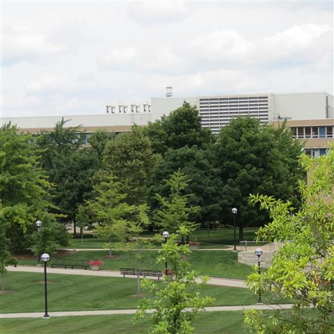 University of Michigan campus in Ann Arbor 4 of 4 (#2705)