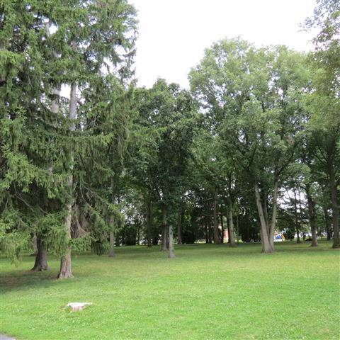 President Hayes Home in Fremont  8 of 9 (#2717)