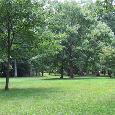 President Hayes Home in Fremont  9 of 9 (#2719)