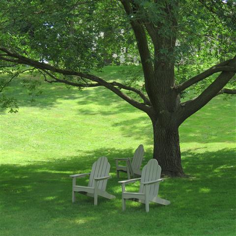 Kent State University campus in Kent 10 of 11 (#2750)