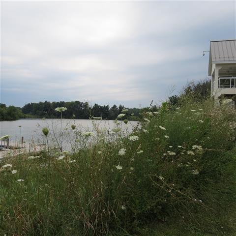 Site of the 115th Reunion of the Searles of Ohio  4 of 7 (#2757)