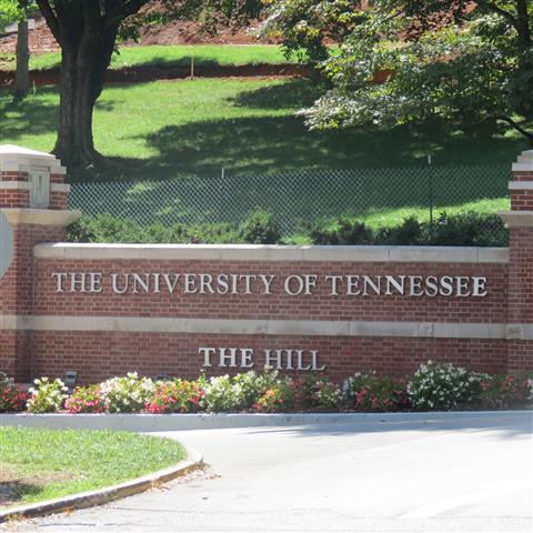 University of Tennessee campus in Knoxville 1 of 4 (#2831)