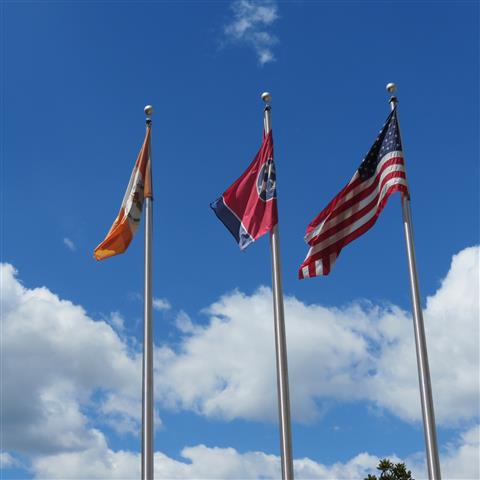 Flags near the University of Tennessee in Knoxville 4 of 4 (#2835)