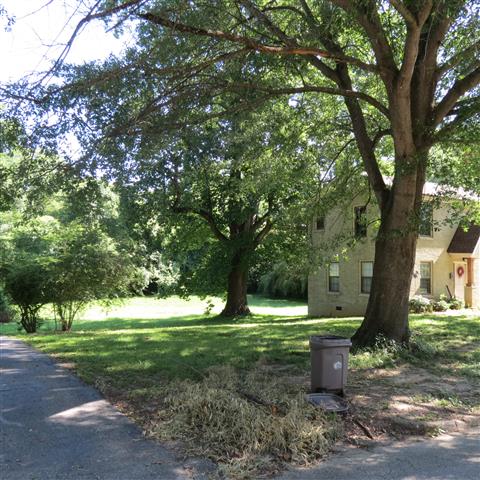 Cliffords backyard on Roland Ave. (baseball ages 6 - 8) (#2883)
