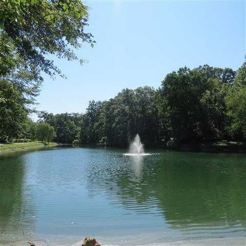 Campbells Pond (#2884)