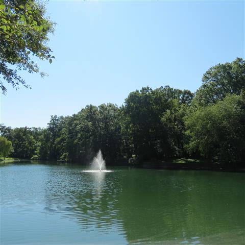 Campbells Pond (#2885)