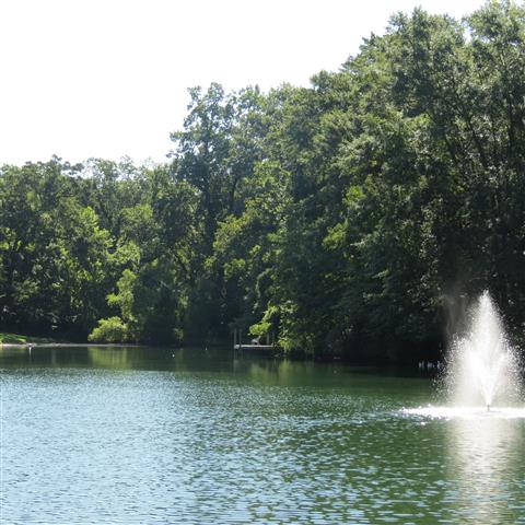 Campbells Pond (#2886)