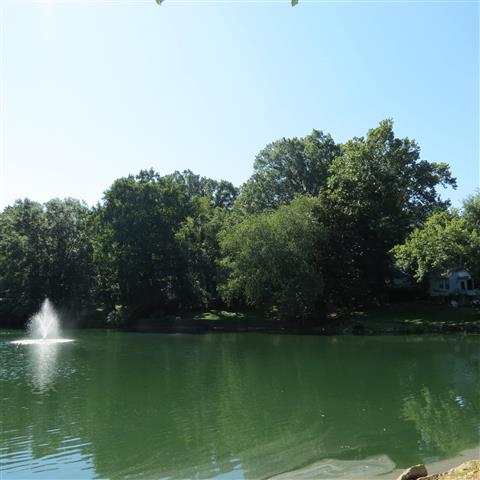 Campbells Pond (#2887)