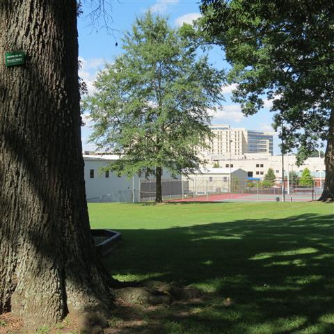 Conger Park (formerly Highland Park) (#2913)