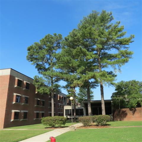 University of Memphis Tennessee  5 of 12 (#2921)