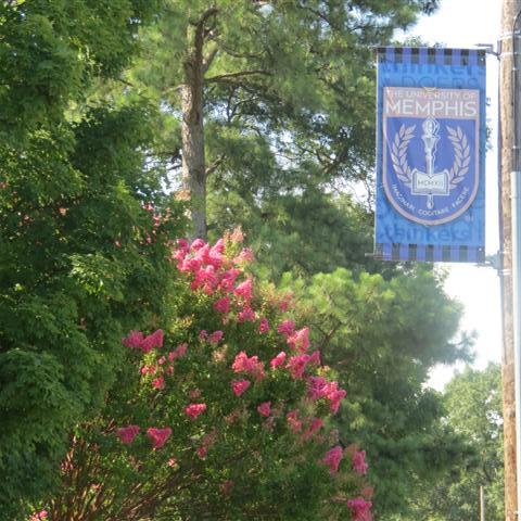 University of Memphis Tennessee 10 of 12 (#2927)