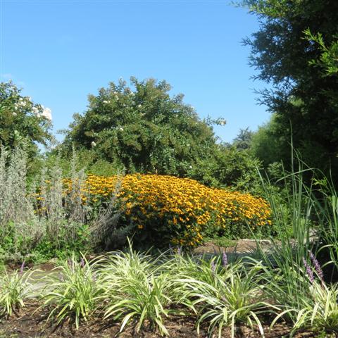 Memphis Botanical Gardens  3 of 34 (#2936)