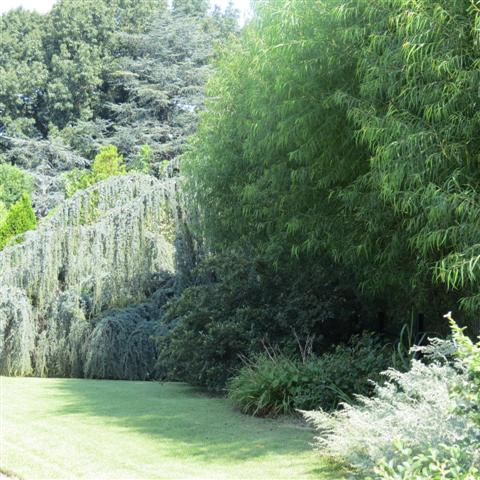 Memphis Botanical Gardens  5 of 34 (#2938)