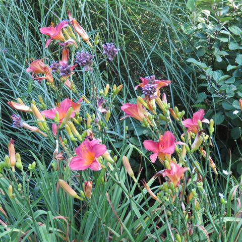 Memphis Botanical Gardens 14 of 34 (#2947)