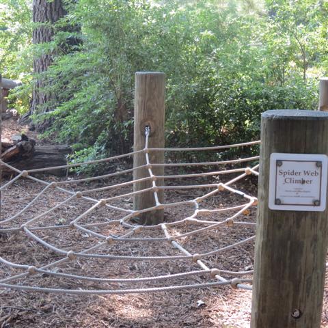 Memphis Botanical Gardens 18 of 34 (#2951)