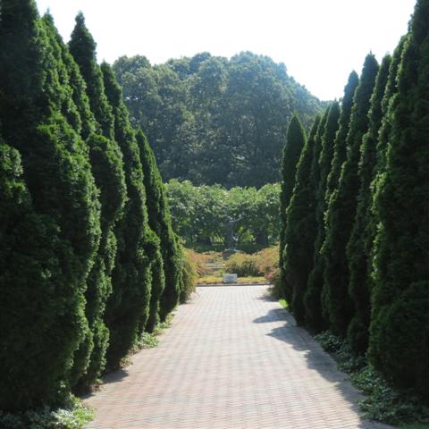 Memphis Botanical Gardens 28 of 34 (#2961)