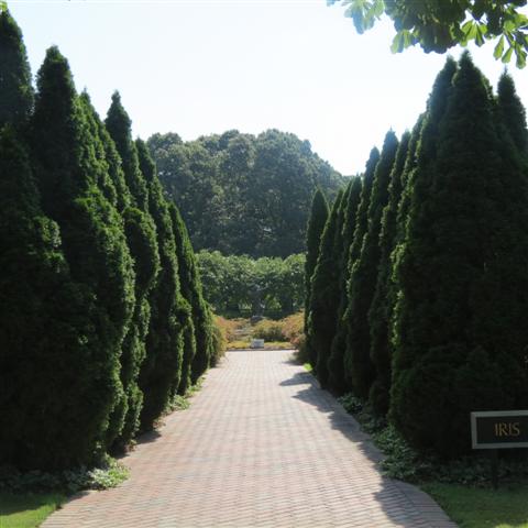 Memphis Botanical Gardens 29 of 34 (#2962)