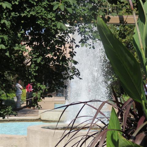 Memphis Botanical Gardens 31 of 34 (#2964)