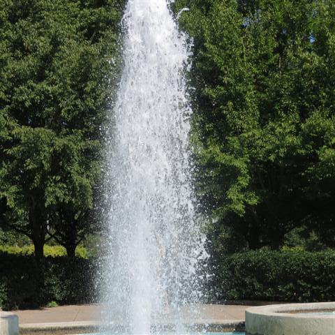 Memphis Botanical Gardens 32 of 34 (#2965)