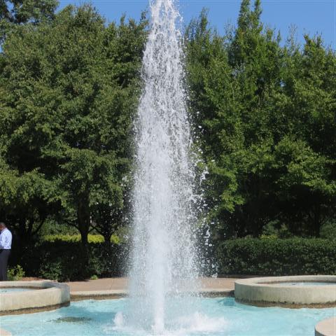 Memphis Botanical Gardens 33 of 34 (#2966)