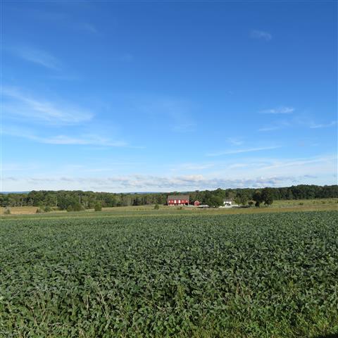 Farm House near Gettysburg National Battlefield Visitor Center 5 of 5 (#3020)