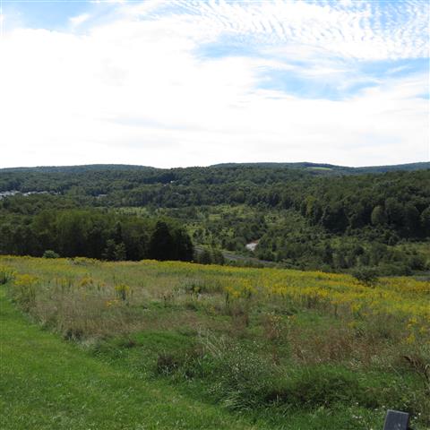 Johnstown Flood National Park 12 of 15 (#3055)