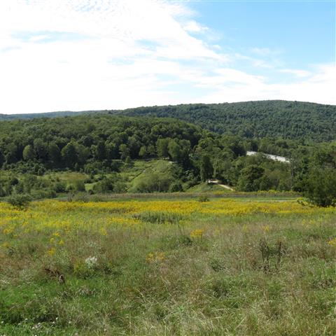Johnstown Flood National Park 13 of 15 (#3056)
