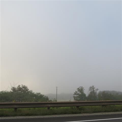  Foggy day on the drive to Charleston ( 1 of 1) (#3074)