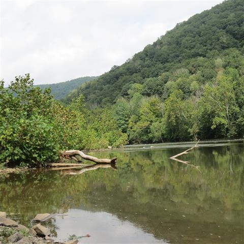 New River Gorge National River  7 of 10 (#3091)