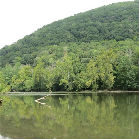New River Gorge National River  8 of 10 (#3092)