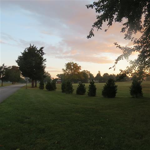 Appomattox Courthouse  5 of 5 (#3130)