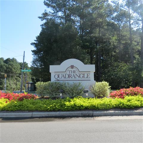 The Quadrangle in Chapel Hill  1 of 1 (#3144)