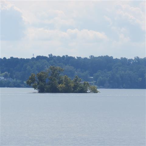 James River near President William Harrison Home in Charles City VA  2 of 3 (#3167)