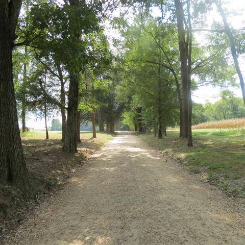 Drive/walk to  President William Harrison Home in Charles City VA  1 of 3 (#3168)