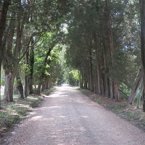 Drive/walk to  President William Harrison Home in Charles City VA  2 of 3 (#3169)