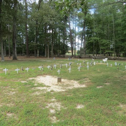 Pet Cemetery at President Tyler Home in Charles City VA  1 of 3 (#3178)