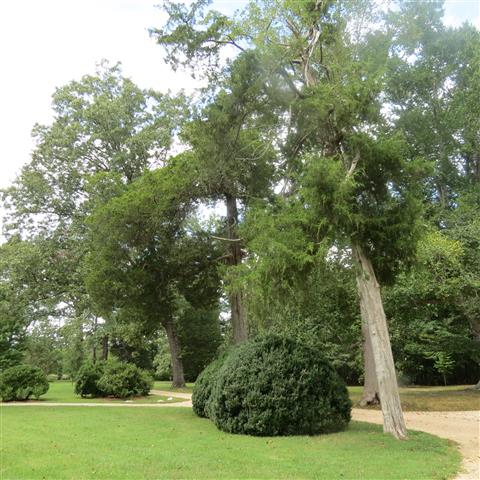 Grounds around President Tyler Home in Charles City VA  2 of 7 (#3183)
