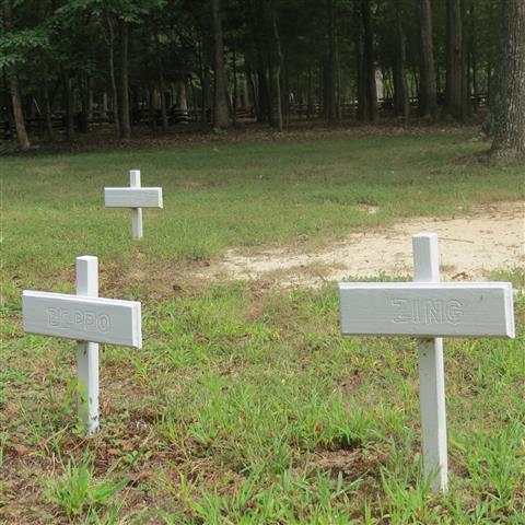 Pet Cemetery at President Tyler Home in Charles City VA  2 of 3 (#3195)