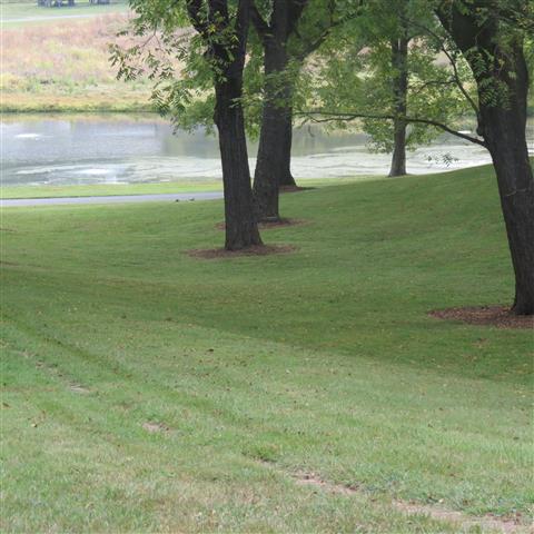 Grounds at President Madison Home near Orange VA  4 of 17 (#3215)