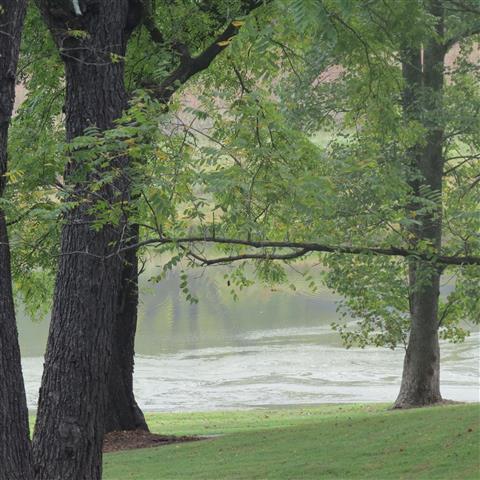 Grounds at President Madison Home near Orange VA  5 of 17 (#3216)