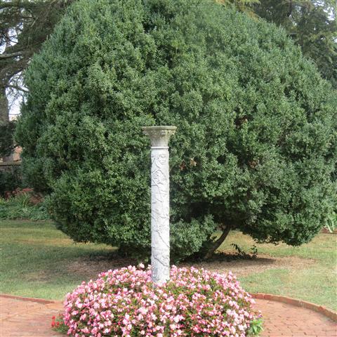 Grounds at President Madison Home near Orange VA 11 of 17 (#3225)