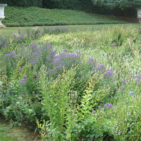 Grounds at President Madison Home near Orange VA 14 of 17 (#3228)