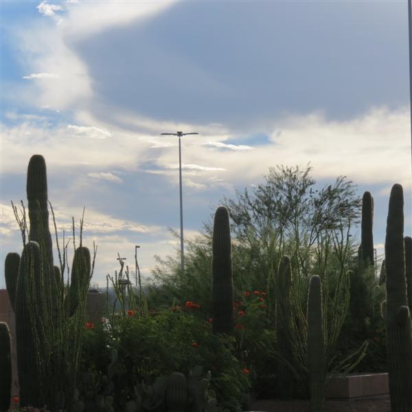 Tucson Airport Scenery  2 of  2 (#3973)