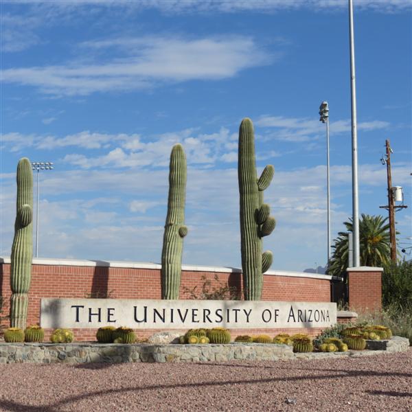Univ. of Arizona signs and buildings  1 of 12 (#3976)