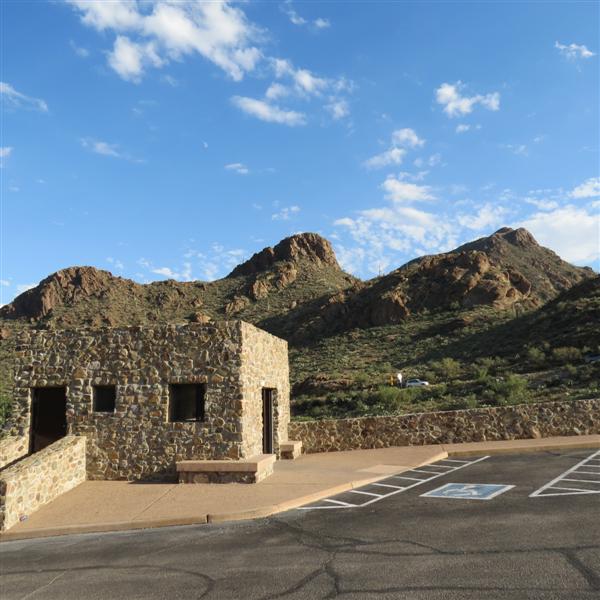 Saguaro National Park 10 of 22 (#4011)