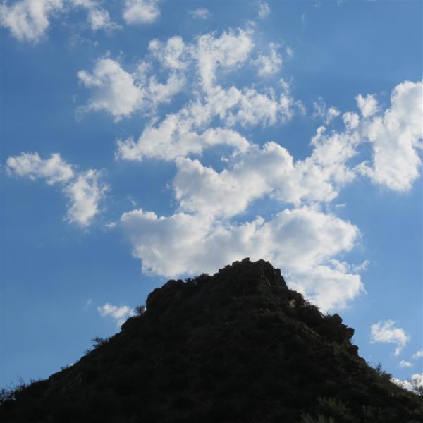 Saguaro National Park 13 of 22 (#4014)