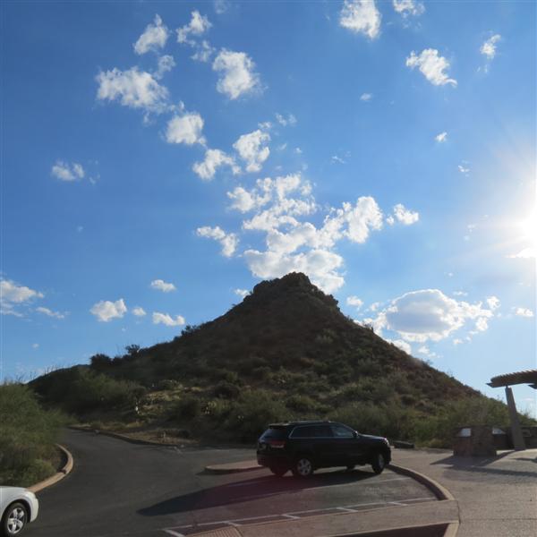 Saguaro National Park 14 of 22 (#4015)