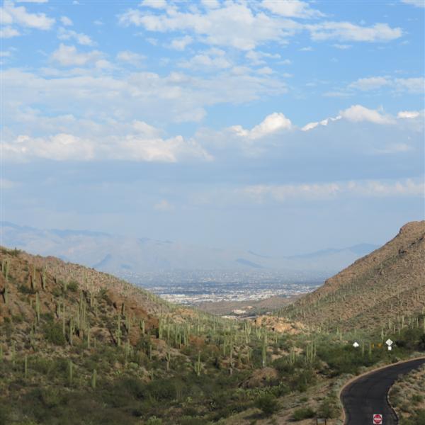 Saguaro National Park 17 of 22 (#4018)