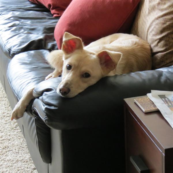 Diana/Johns Place inside  5 of  6 (#4033)